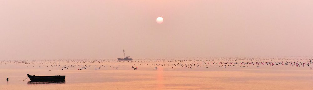 寧靜海診所
